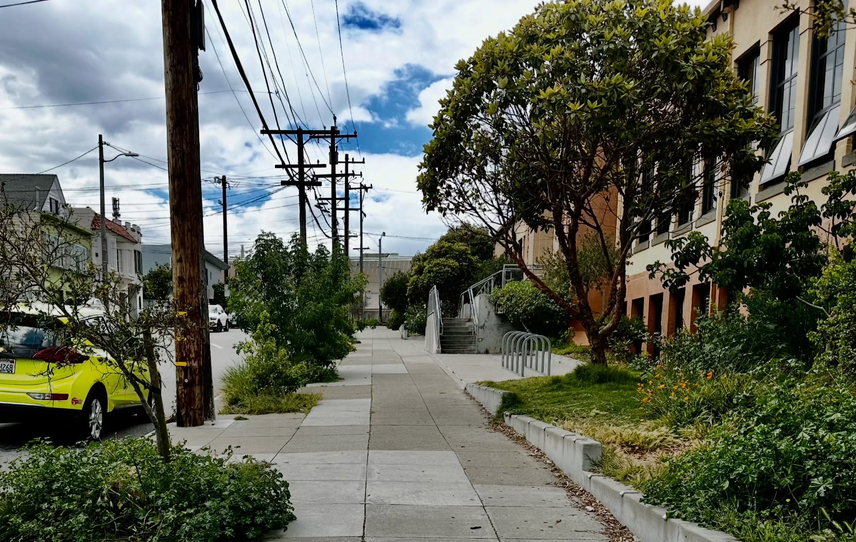 Recent photos of our OMI/ Excelsior Seneca Avenue Nature Walkway.